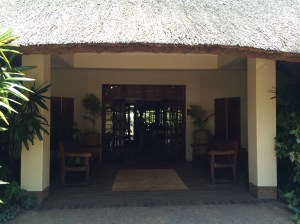 IMG_5806